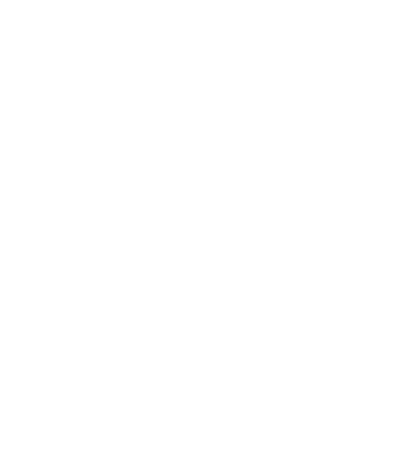 IT Strategy & Planning Icon